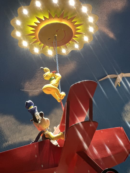 Sport & Freizeit Desert Rose