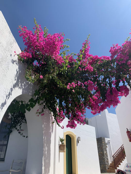 Gartenanlage Creta Maris Resort