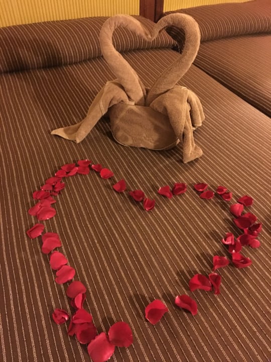 Zimmer Hotel Riu Tequila