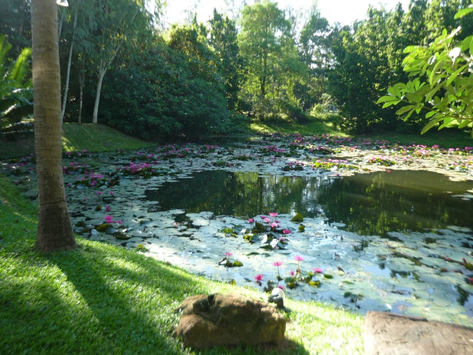 Hotel Sheraton Krabi Beach Resort Dusit Thani Krabi Beach Resort