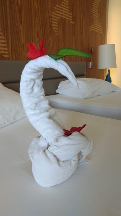 Zimmer PALOMA Perissia