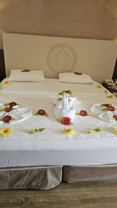 Zimmer Side Alegria Hotel & Spa - Adults only +16