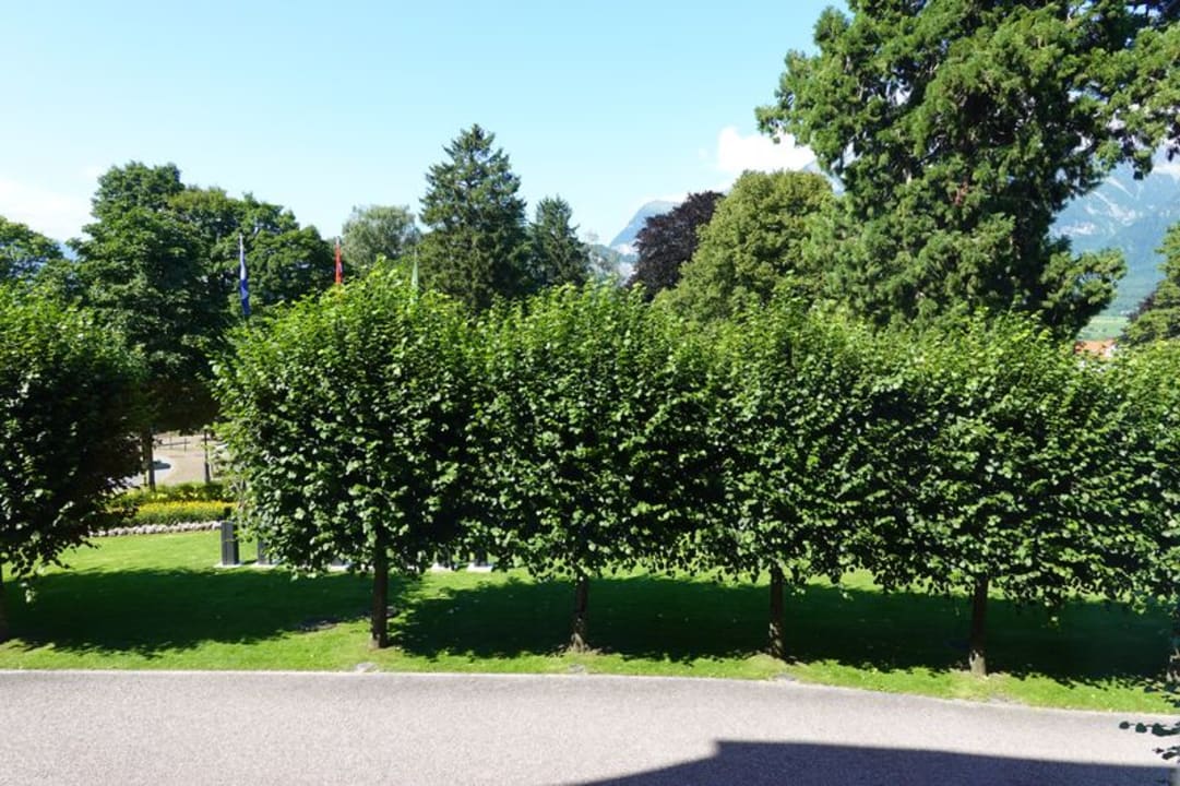 Ausblick Grand Resort Bad Ragaz