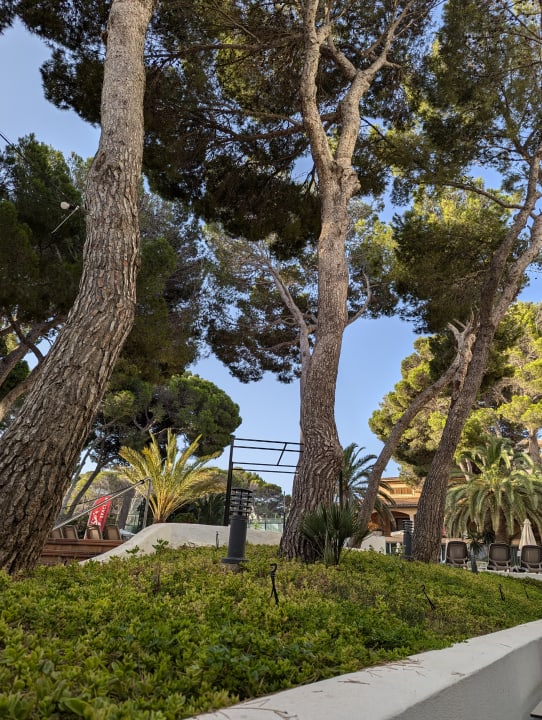 Gartenanlage Hotel & Spa S'Entrador Playa