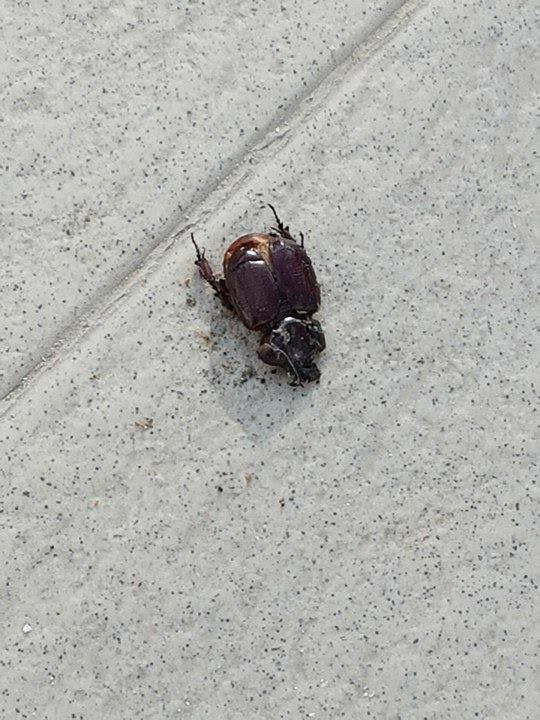 Sonstiges Hotel El Mouradi Djerba Menzel