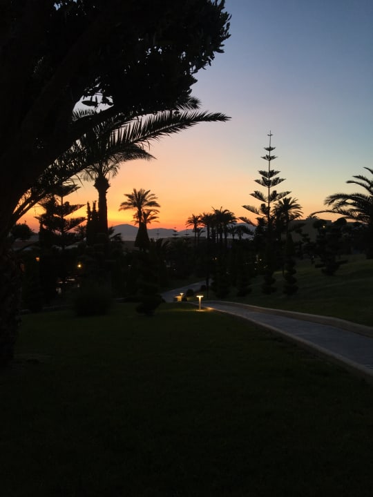 Gartenanlage Hotel Horizon Beach Resort