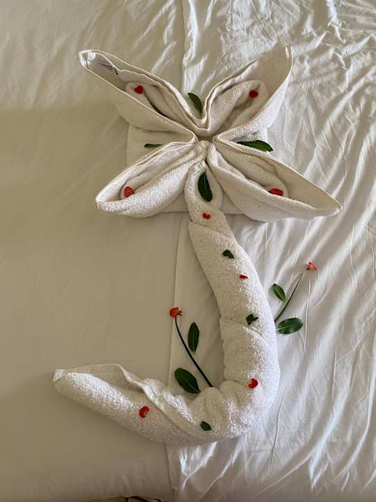 Zimmer Casa Mare Resort