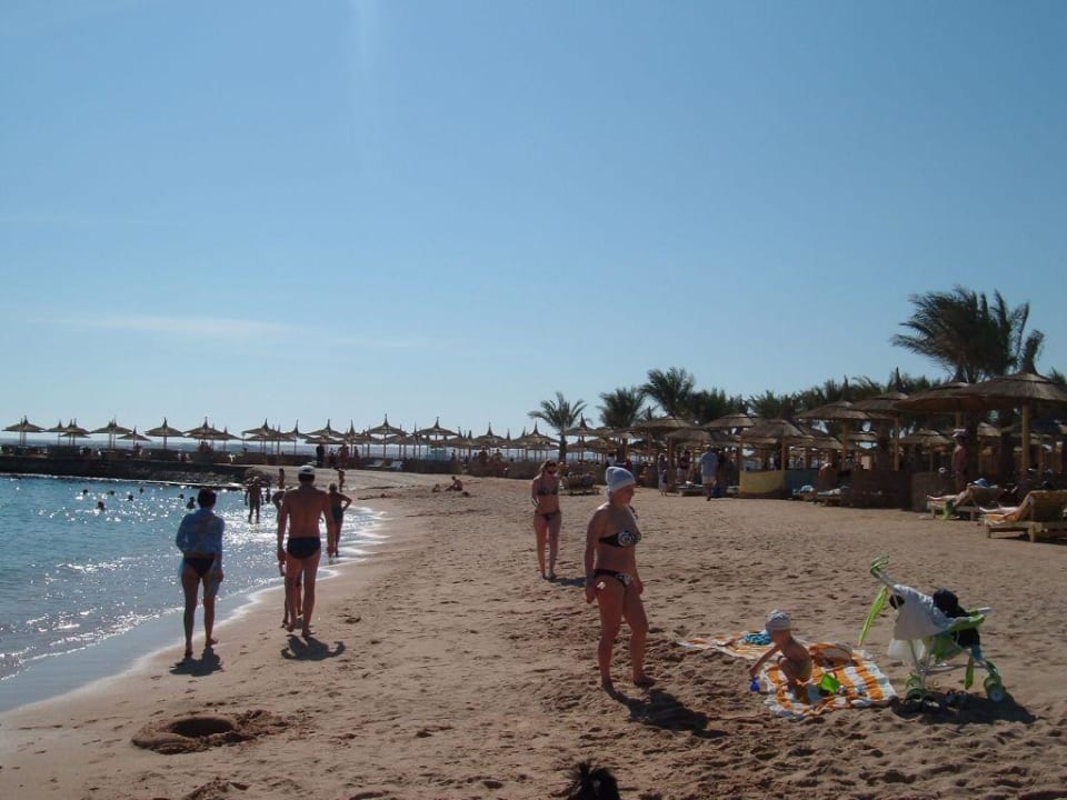 Hotel-Strand Beach Albatros Resort
