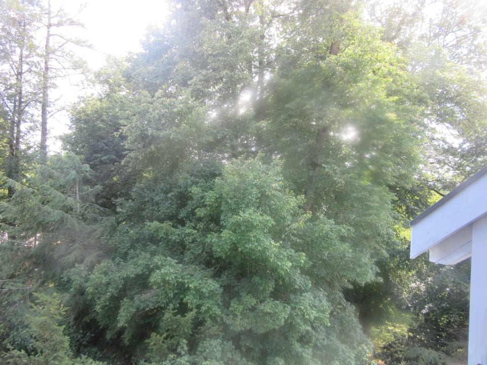 Ausblick Hotel Sonnengarten