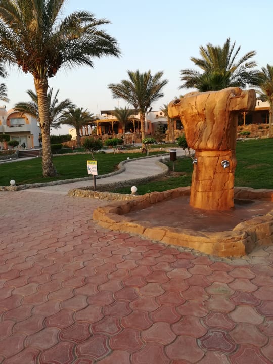 Gartenanlage Three Corners Sea Beach Resort