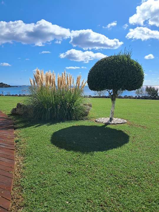 Gartenanlage Elysium Resort & Spa Hotel