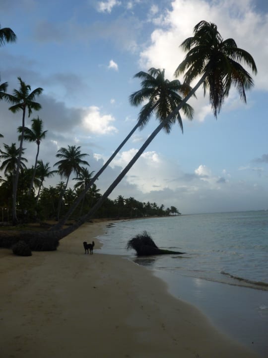 Hotel Grand Bahía Príncipe El Portillo Bahia Principe Grand El Portillo