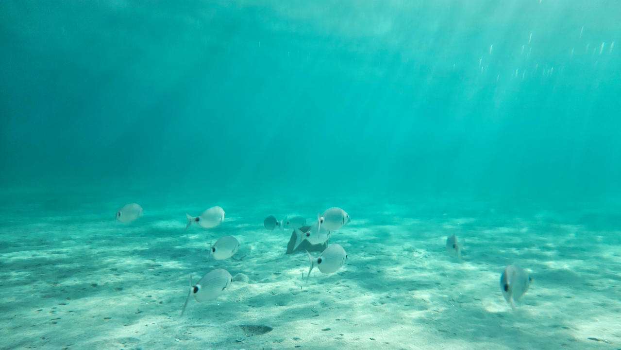 Sonstiges Hotel Resort & Spa Baia Caddinas