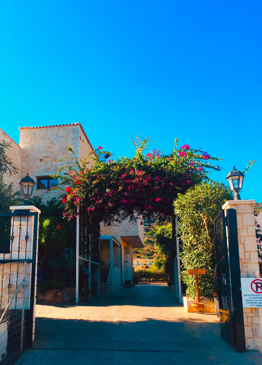 Gartenanlage Cactus Royal