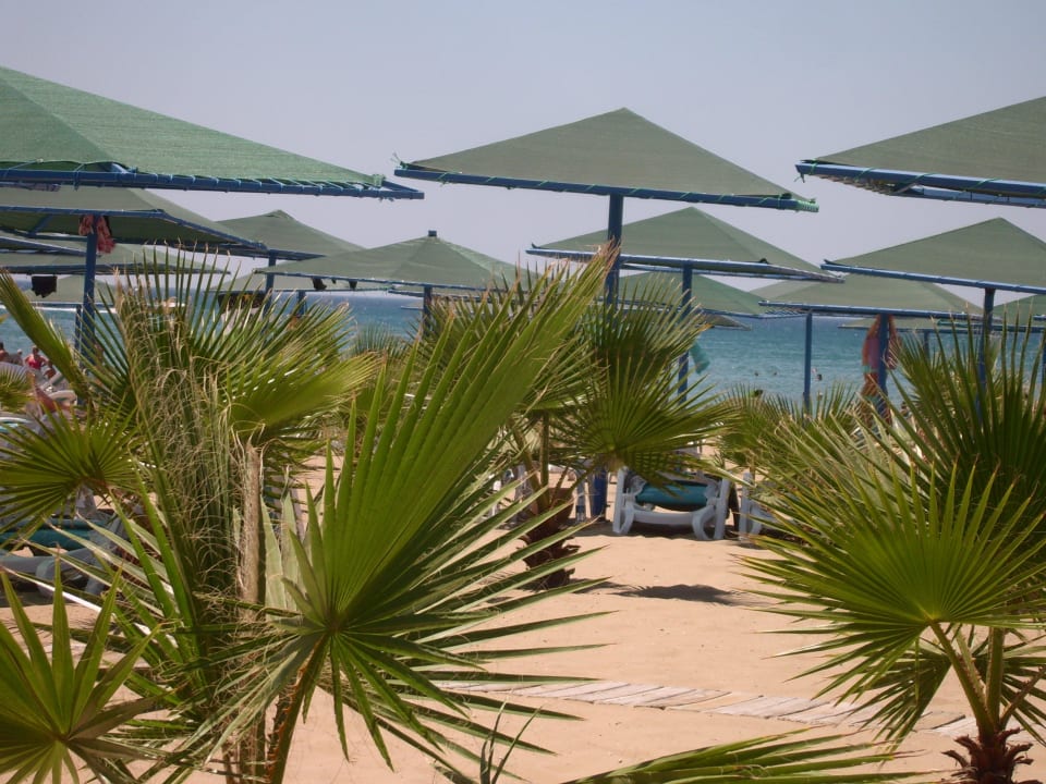Viel Platz am Meer Paloma Oceana