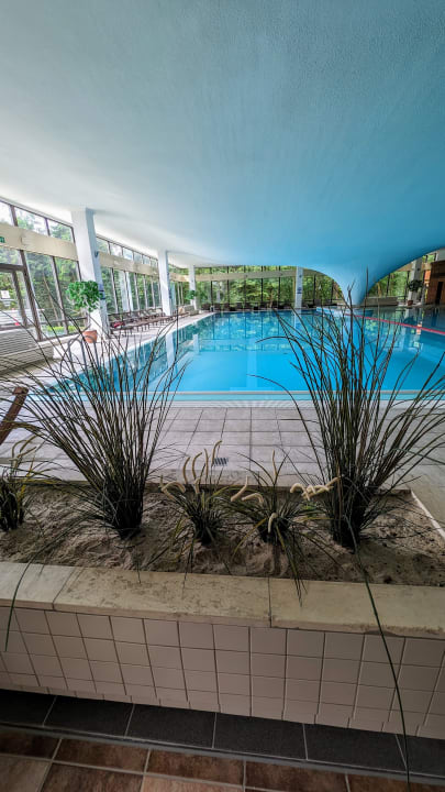 Pool Cliff Hotel Rügen