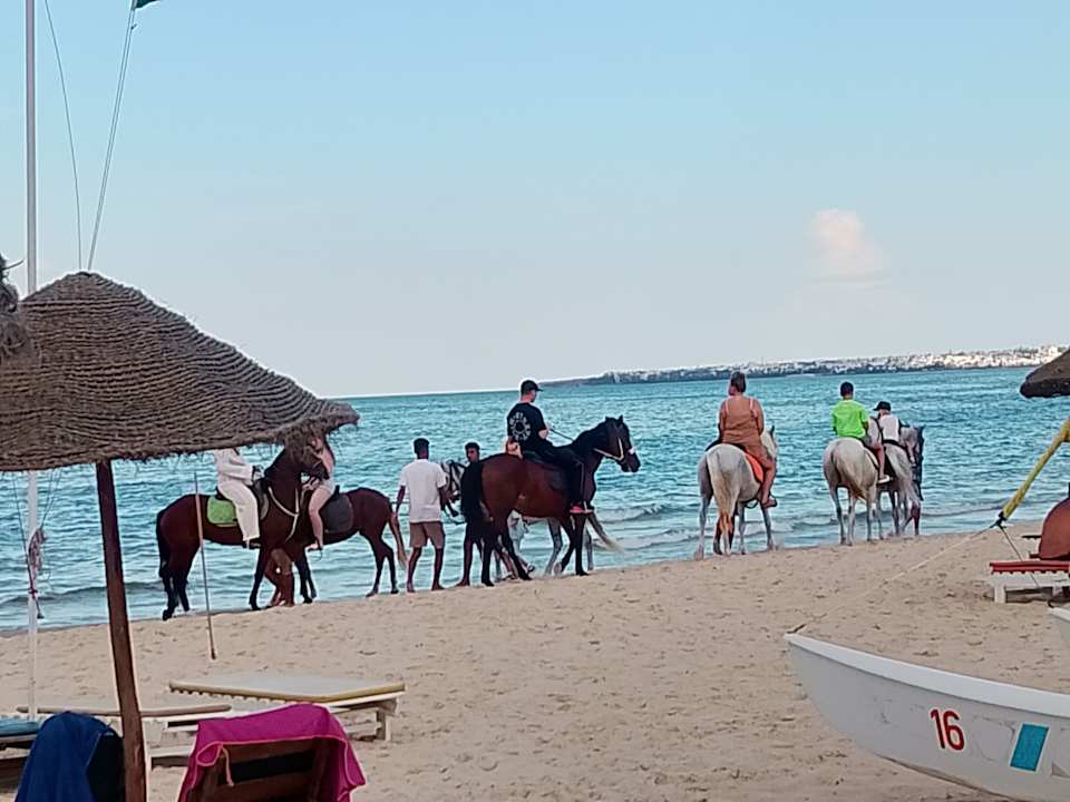 Strand Hotel Neptunia Skanes