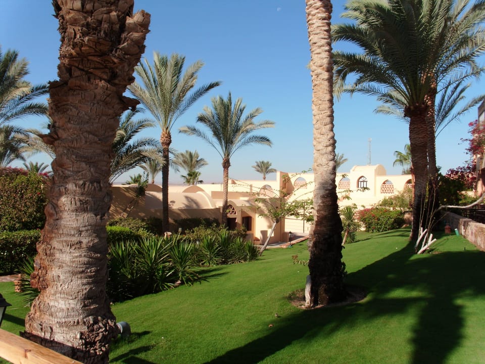 Garten Steigenberger Coraya Beach - Adults only