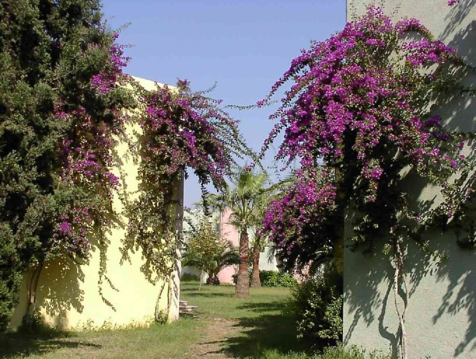 petro club 2003 VONRESORT Golden Beach