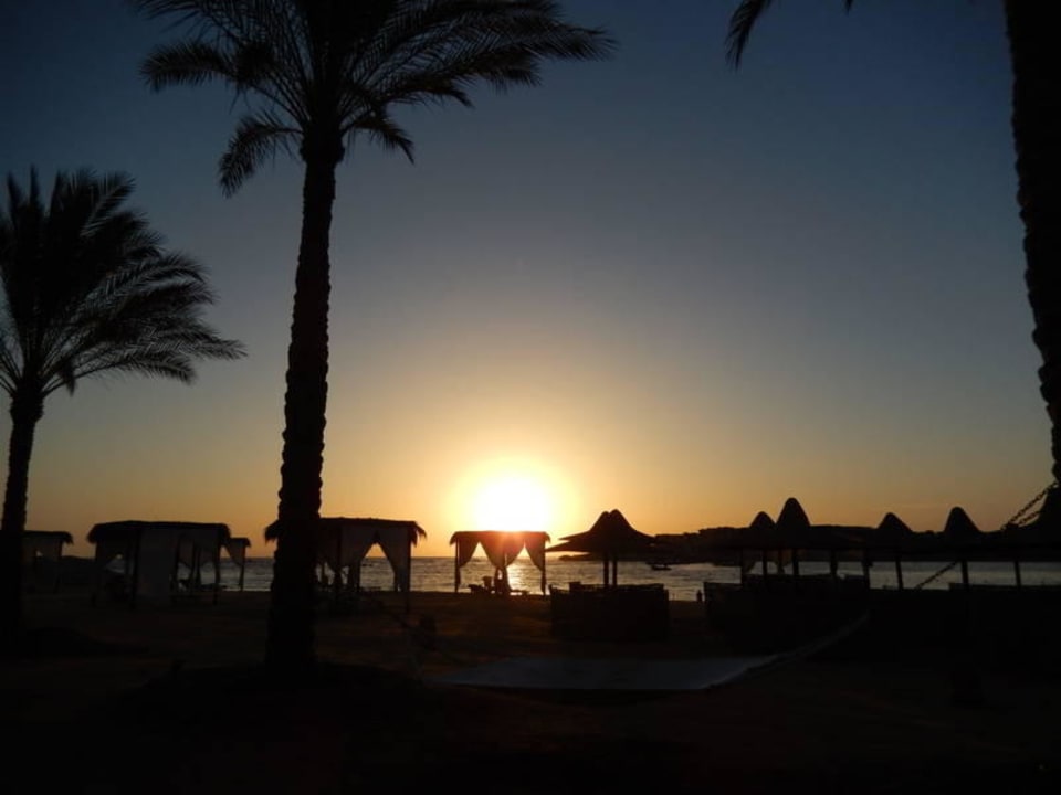 Sonnenaufgang Steigenberger Coraya Beach - Adults only