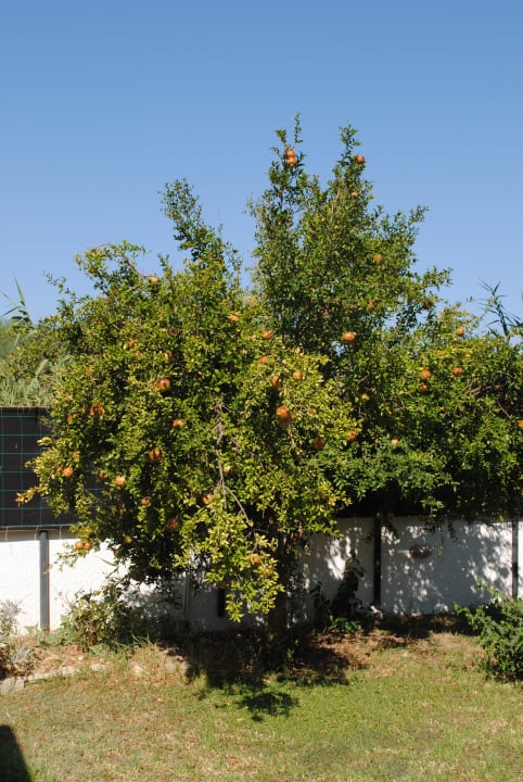 Ogró Gaia Garden Hotel