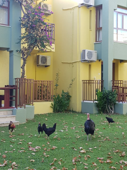 Gartenanlage VONRESORT Golden Beach