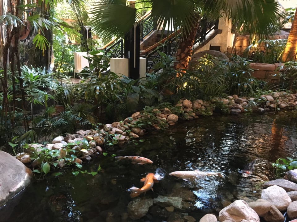 Gartenanlage Grand Hyatt Dubai