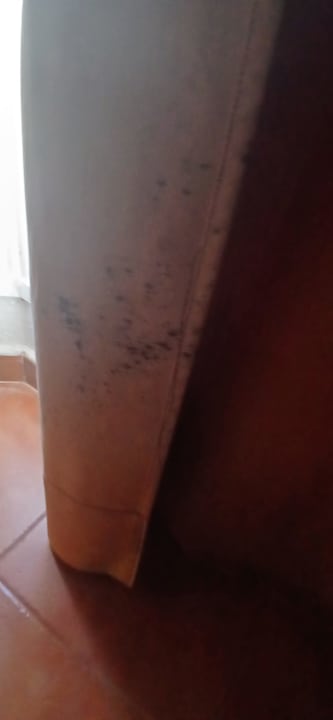 Zimmer SBH Monica Beach Resort