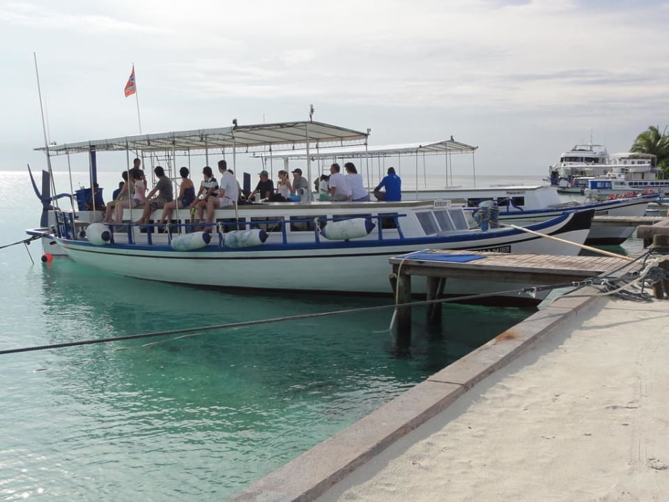 Jetty Boot für Tauchtouren Kuredu Island Resort & Spa