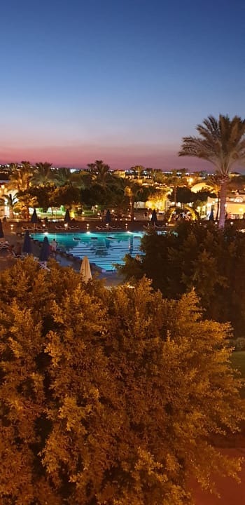 Ausblick Desert Rose