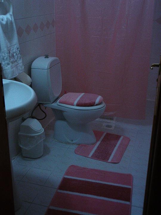 Bad-Toilette Hotel Durufamily