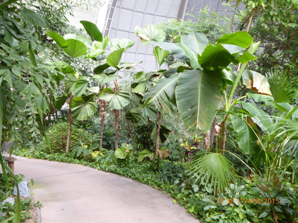 Viele verschlungene Wege Tropical Islands Resort