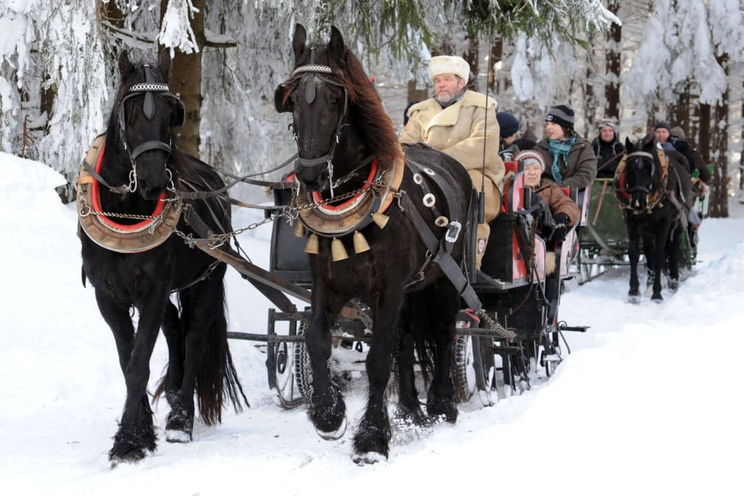 Schlittenfahrt Rennsteighotel Herrnberger Hof