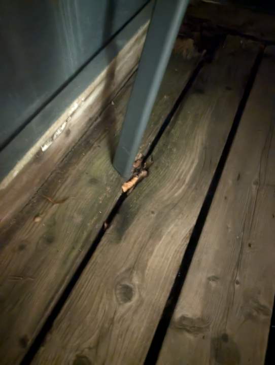 Zimmer Hotel Stadt Homburg