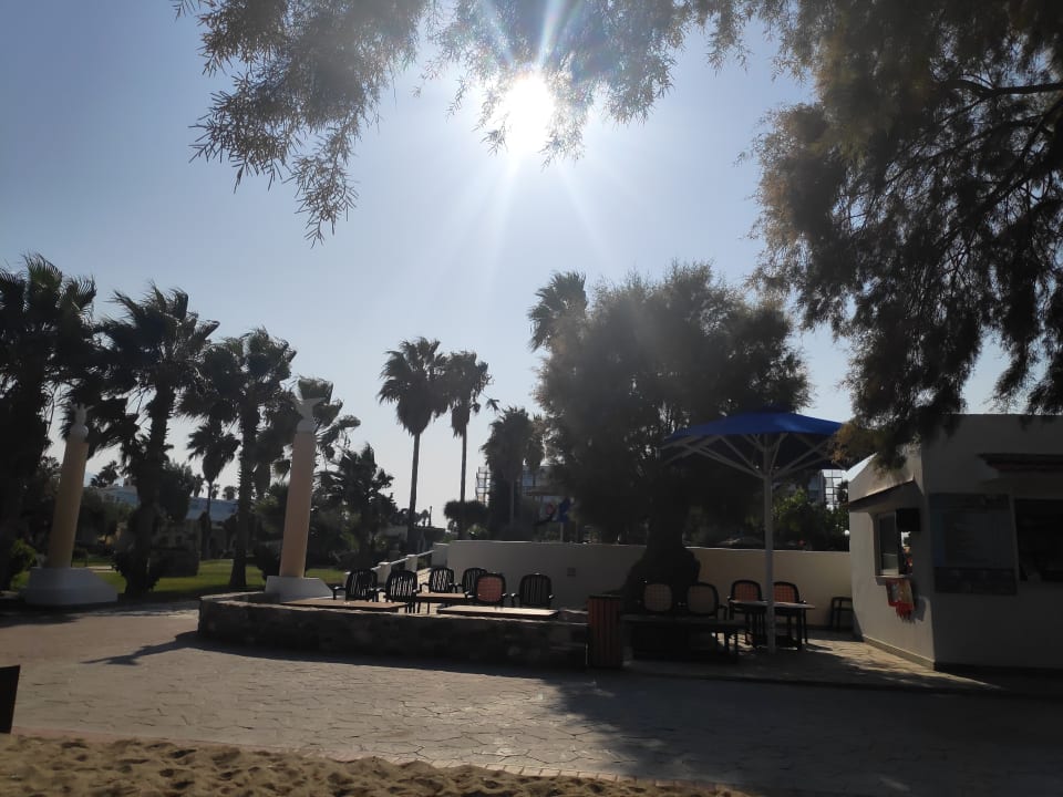 Gartenanlage Atlantis Hotel