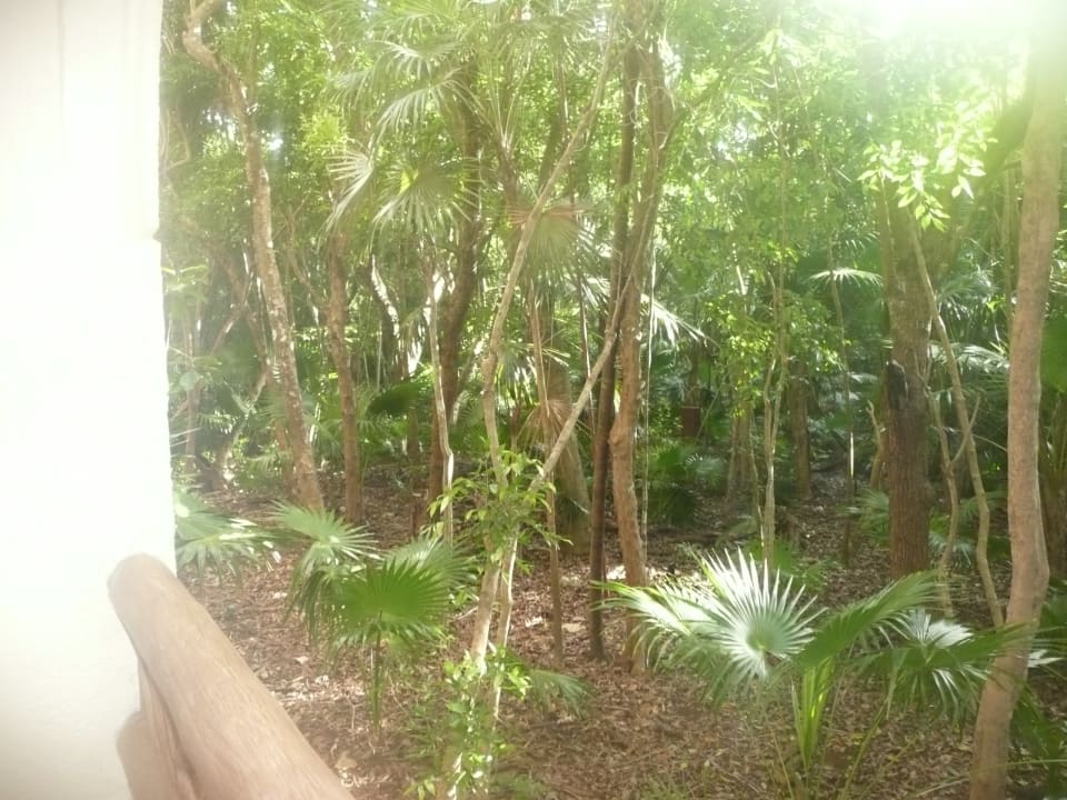 Zimmer Catalonia Royal Tulum Beach & Spa Resort - Adults only