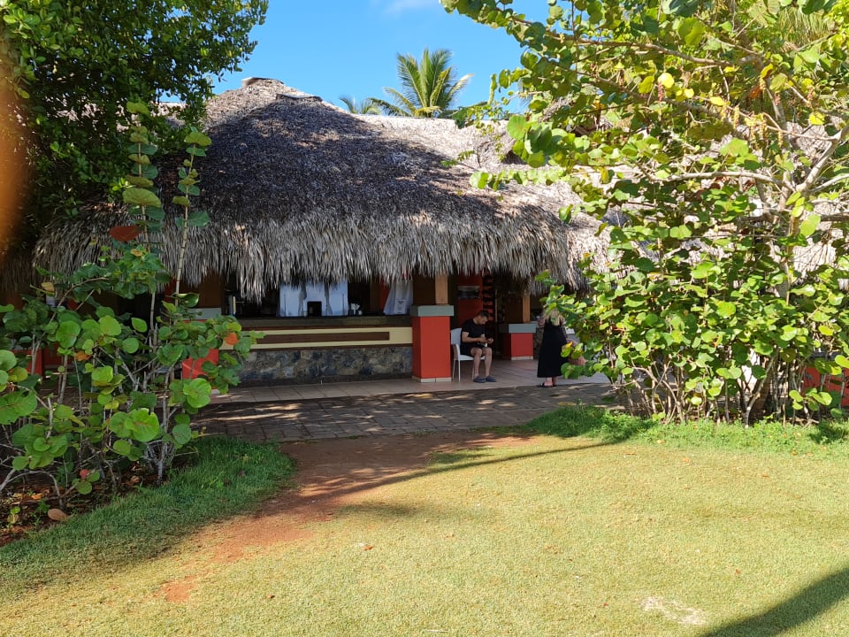 Gastro Wyndham Alltra Samana