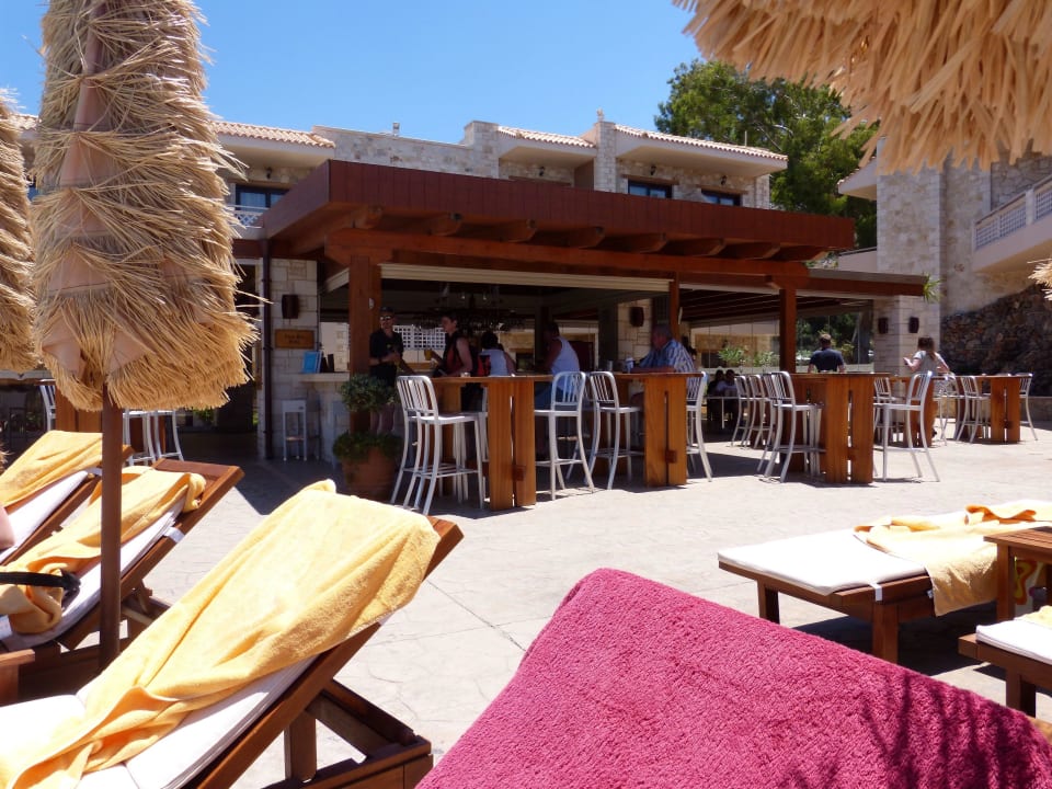 Poolbar Cactus Royal