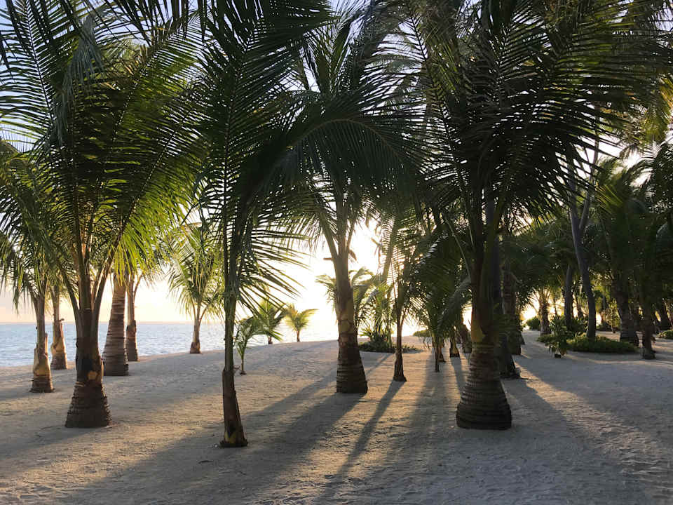 Strand Hotel Riu Palace Maldivas