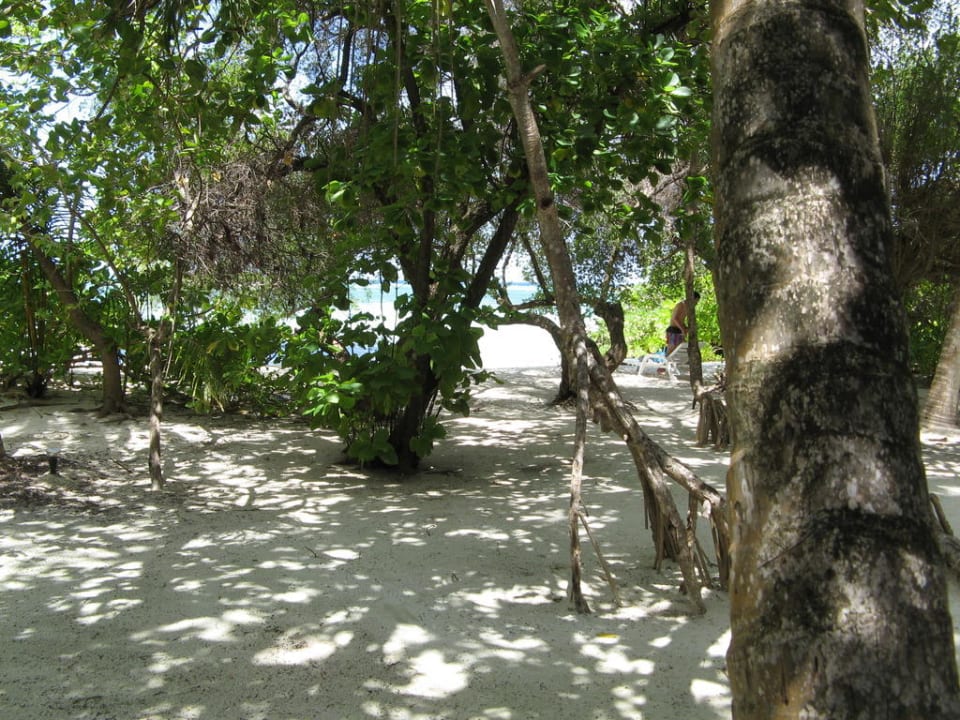 Klasse Bäume Adaaran Select Hudhuran Fushi - Premium All Inclusive