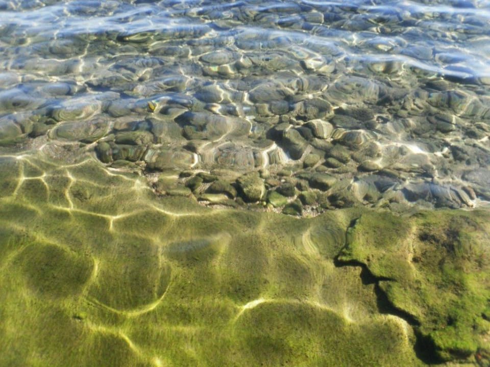 Glasklar Ghazala Gardens