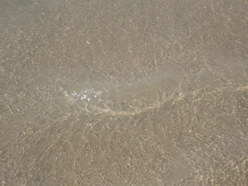 Klares Meer Occidental Jandía Playa