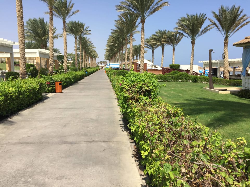 Weg vor dem Strand Rixos Sharm El Sheikh Adults Only 18 +