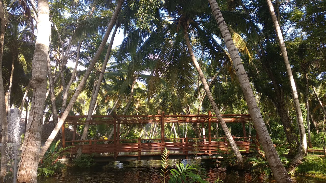 Gartenanlage Wyndham Alltra Samana