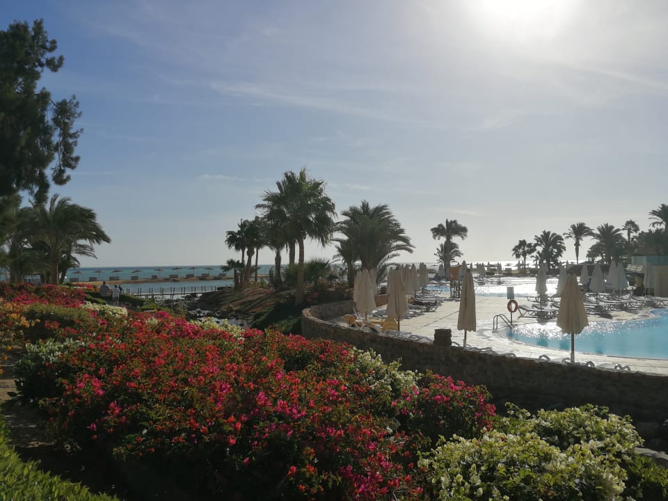 Pool Mövenpick Resort & Spa El Gouna