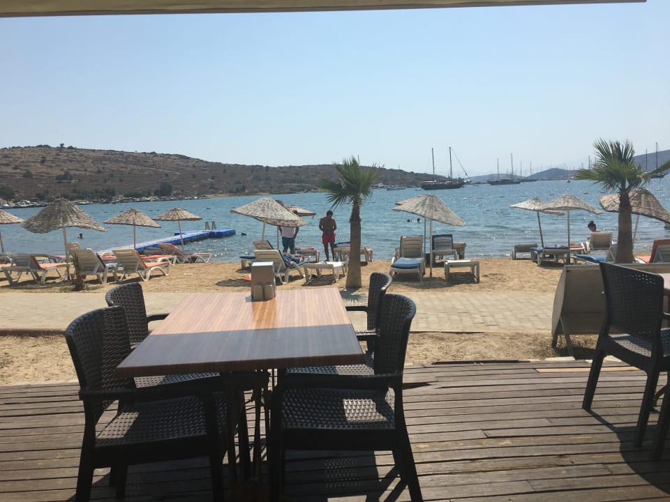 Gastro Ladonia Hotels Delmare