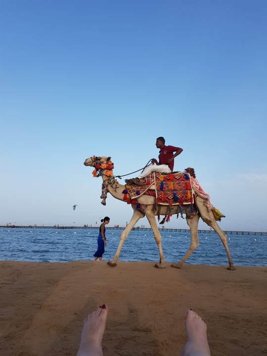 Strand Le Jardin Aqua Park Resort