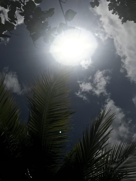 Sonstiges Sunscape Puerto Plata