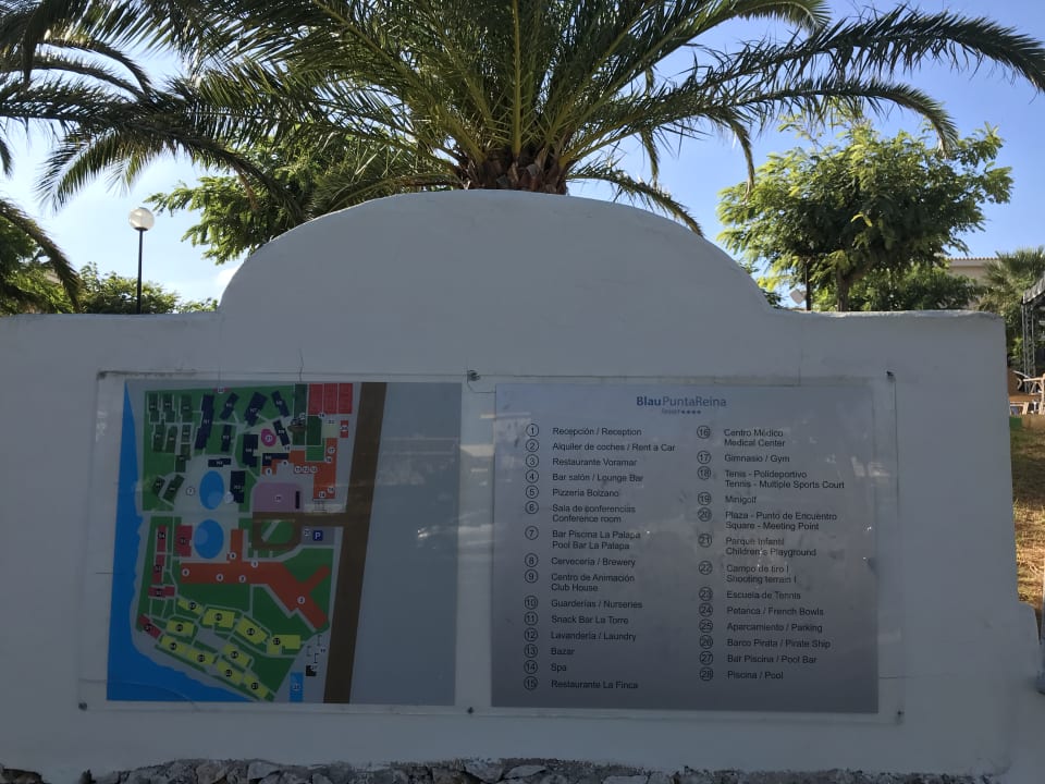 Sonstiges blau punta reina