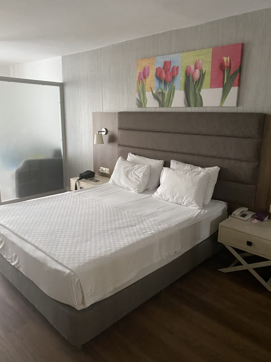 Zimmer Monachus Family Resort Sorgun